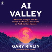 AI Valley