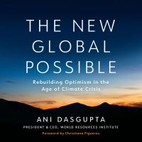 The New Global Possible