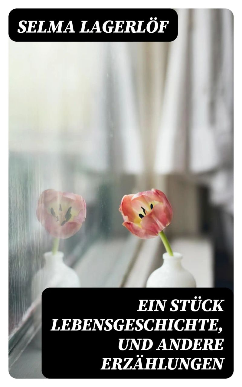 Ein Stück Lebensgeschichte, und andere Erzählungen