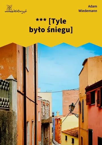 *** [Tyle było śniegu]