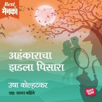 Ahankaracha Zadla Pisara