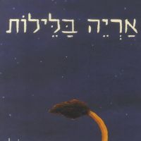 אריה בלילות