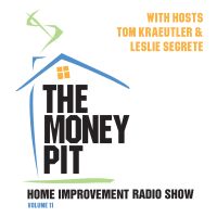 The Money Pit, Vol. 11