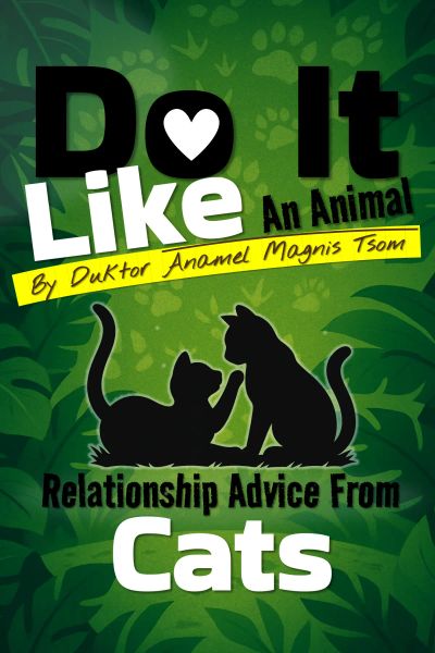 Do It Like an Animal: Relationship Advice from Cats