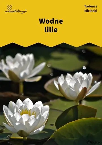 Wodne lilie