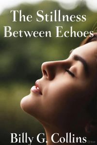 The Stillness Between Echoes