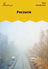 Poczucie