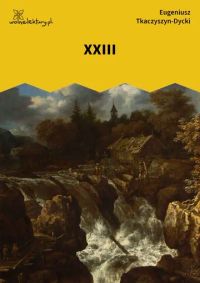XXIII