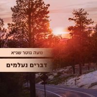 דברים נעלמים