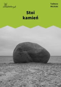 Stoi kamień