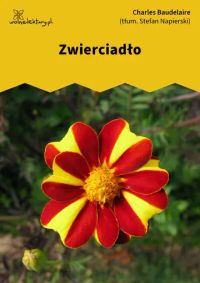 Zwierciadło