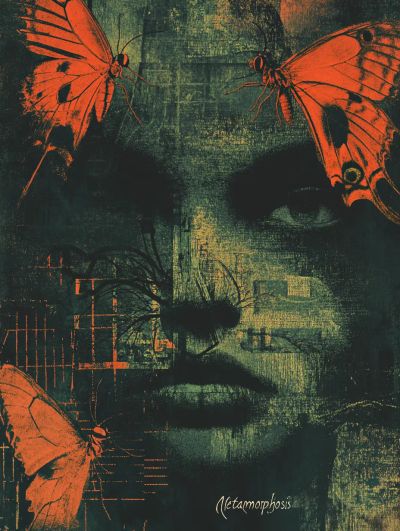 Metamorphosis