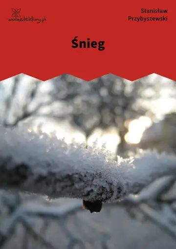 Śnieg