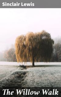 The Willow Walk