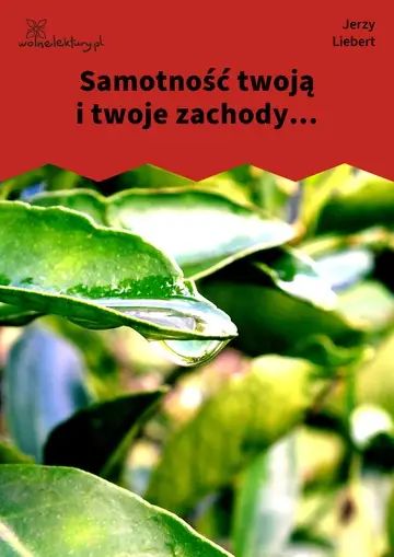 Samotność twoją i twoje zachody...