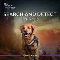 Search And Detect