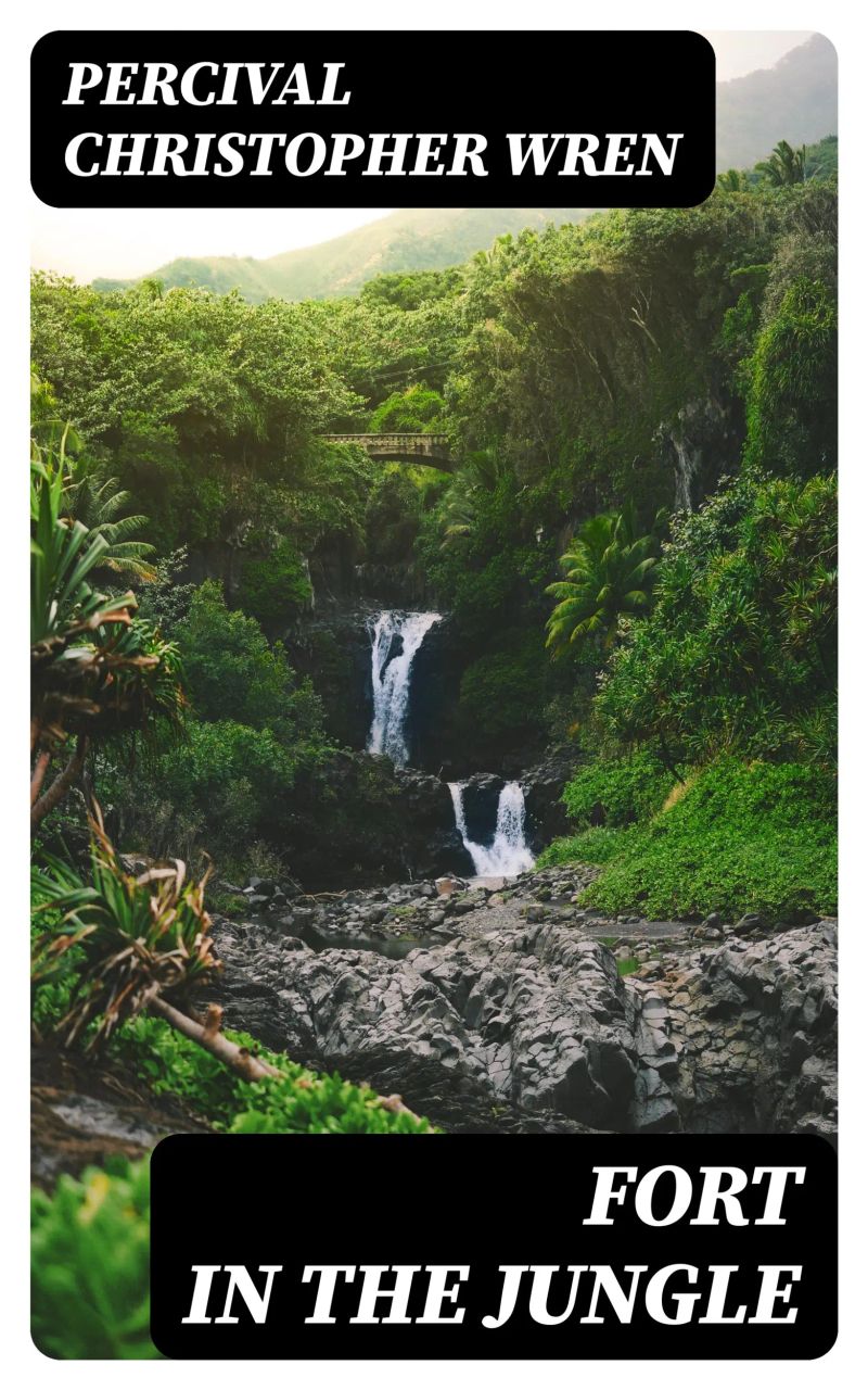 Fort in the Jungle