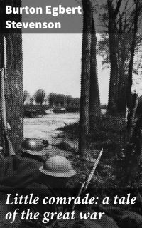 Little comrade: a tale of the great war