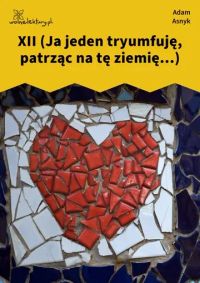 XII (Ja jeden tryumfuję, patrząc na tę ziemię...)