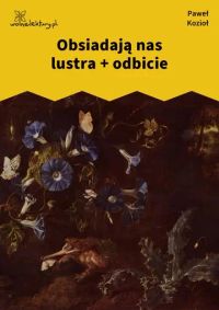 Obsiadają nas lustra + odbicie