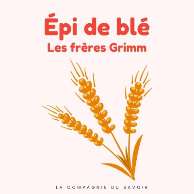 Épi de blé