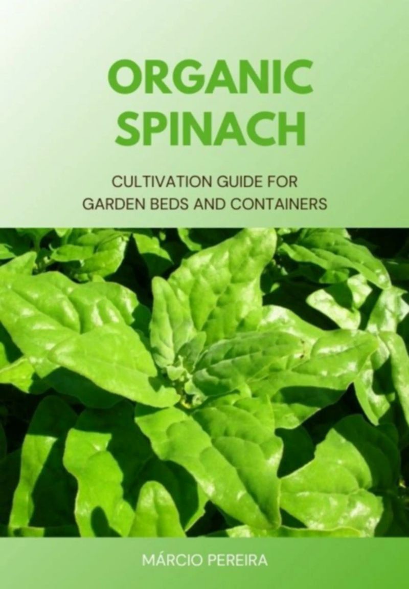 Organic Spinach