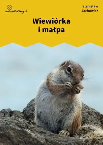 Wiewiórka i małpa