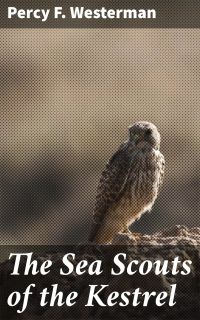 The Sea Scouts of the Kestrel