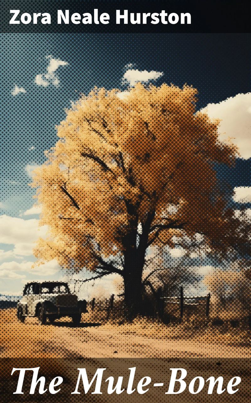 The Mule-Bone