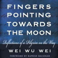 Fingers Pointing Towards the Moon