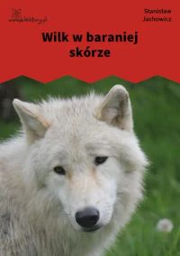 Wilk w baraniej skórze