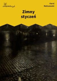 Zimny styczeń