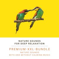 Nature Sounds for Deep Relaxation: Song Birds, Water & Forest Ambience, Bird Calls, Calming & Healing Music