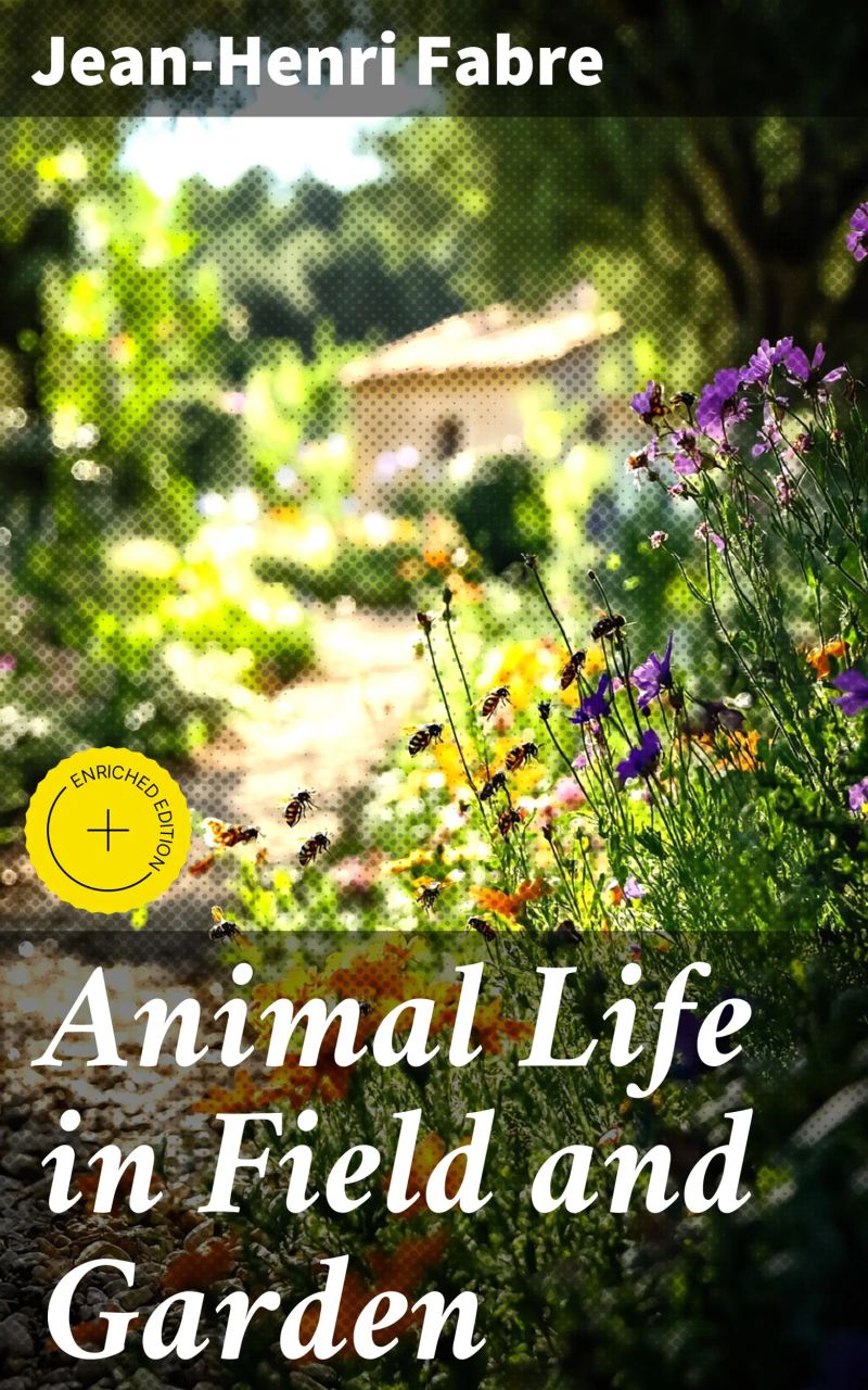 Animal Life in Field and Garden