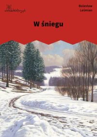 W śniegu