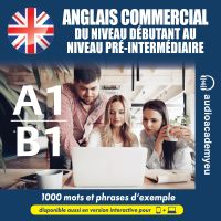 Anglais commercial A1-B1