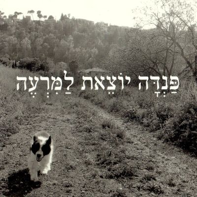 פנדה יוצאת למרעה