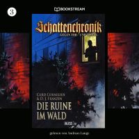 Schattenchronik, Folge 3: Die Ruine im Wald