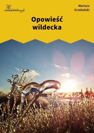 Opowieść wildecka