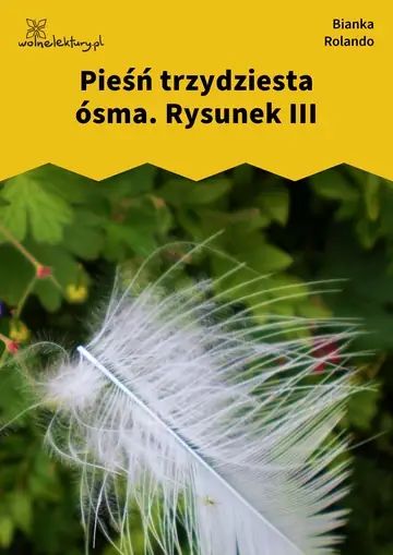 Pieśń trzydziesta ósma. Rysunek III