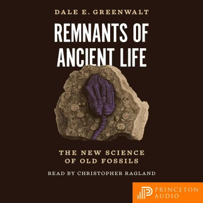 Remnants of Ancient Life