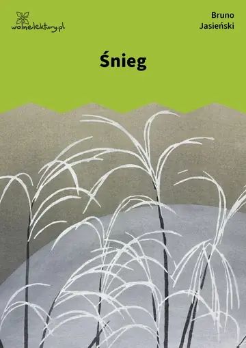 Śnieg