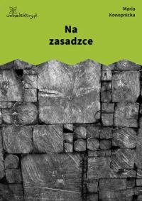 Na zasadzce