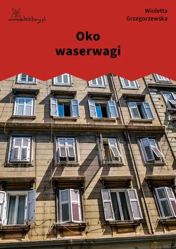 Oko waserwagi