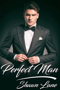Perfect Man