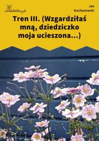 Tren III. (Wzgardziłaś mną, dziedziczko moja ucieszona...)