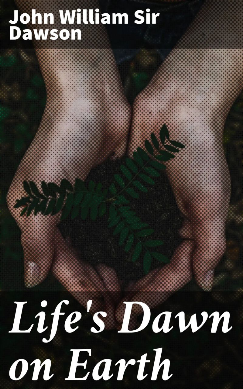 Life's Dawn on Earth