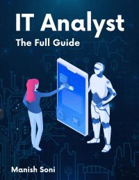 IT Analyst Internship