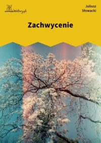 Zachwycenie