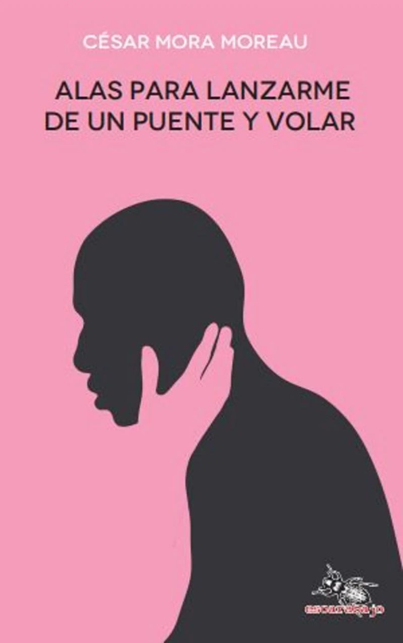 Alas para lanzarme de un puente y volar